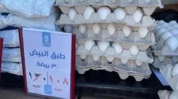 بـ 125 جنيهًا.. تراجع ملحوظ في أسعار البيض داخل أسواق كفر الشيخ اليوم